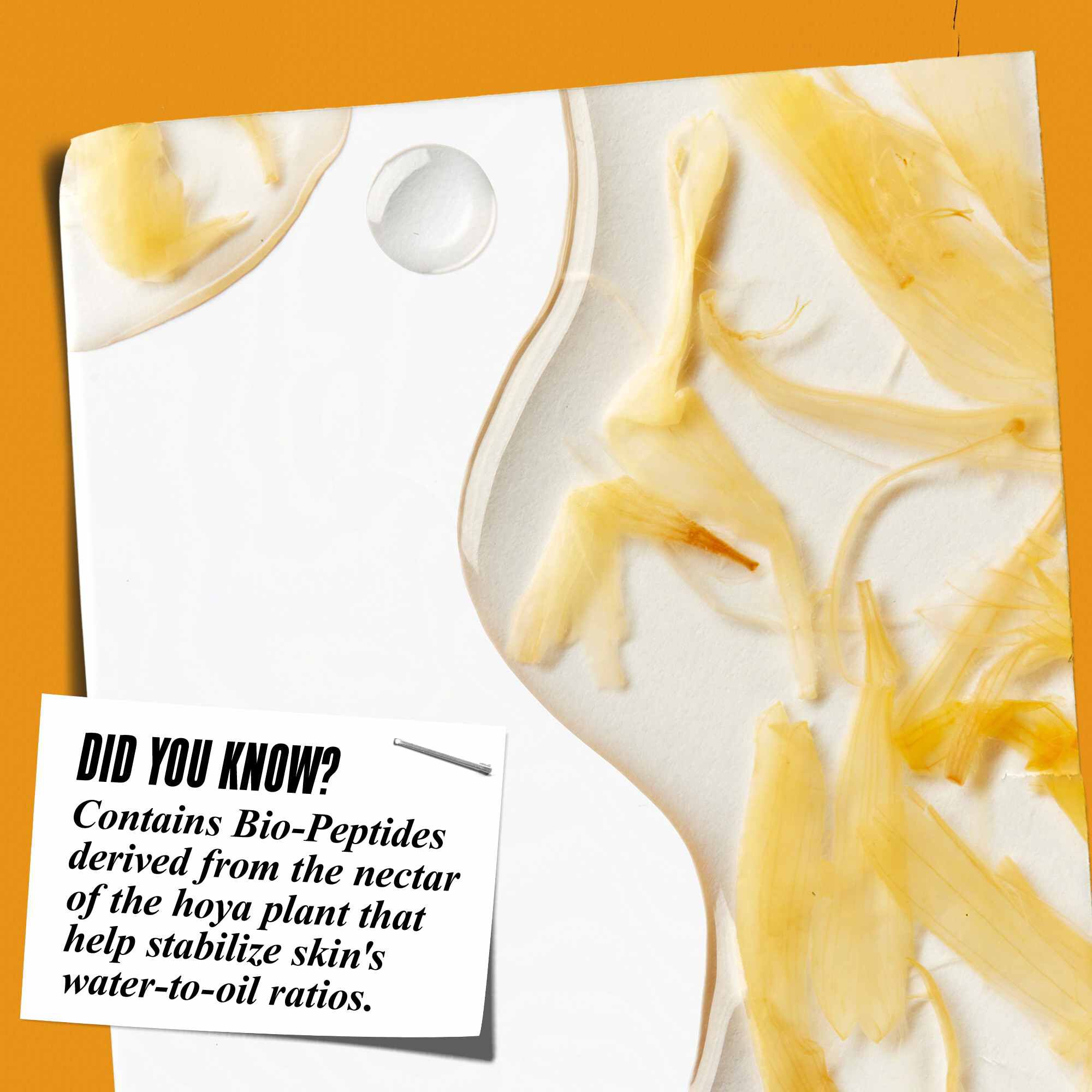 A Calendula Herbal-Extract Toner texturajanak kozelkepe koromviragszirmokkal es a kovetkező szoveggel: „Tudta? A hoya noveny nektarjabol szarmazo bio-peptideket tartalmaz, amelyek segitenek stabilizalni a bőr viz-olaj aranyat.”