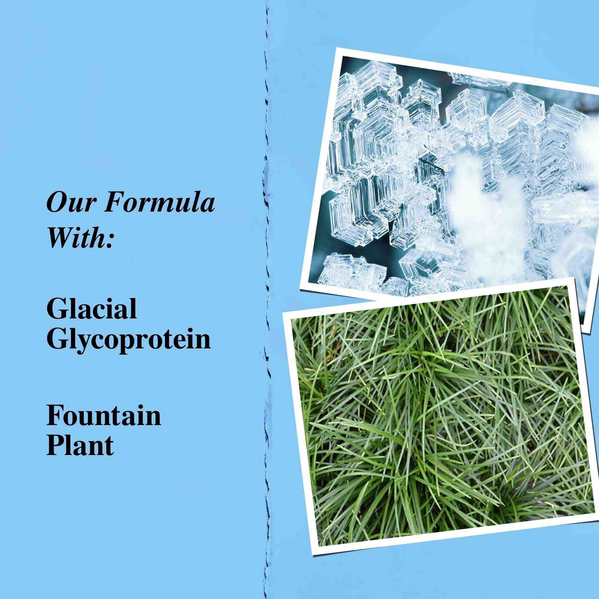 Főbb osszetevők grafika: glacialis glikoprotein es kigyoszakall (fountain plant).
