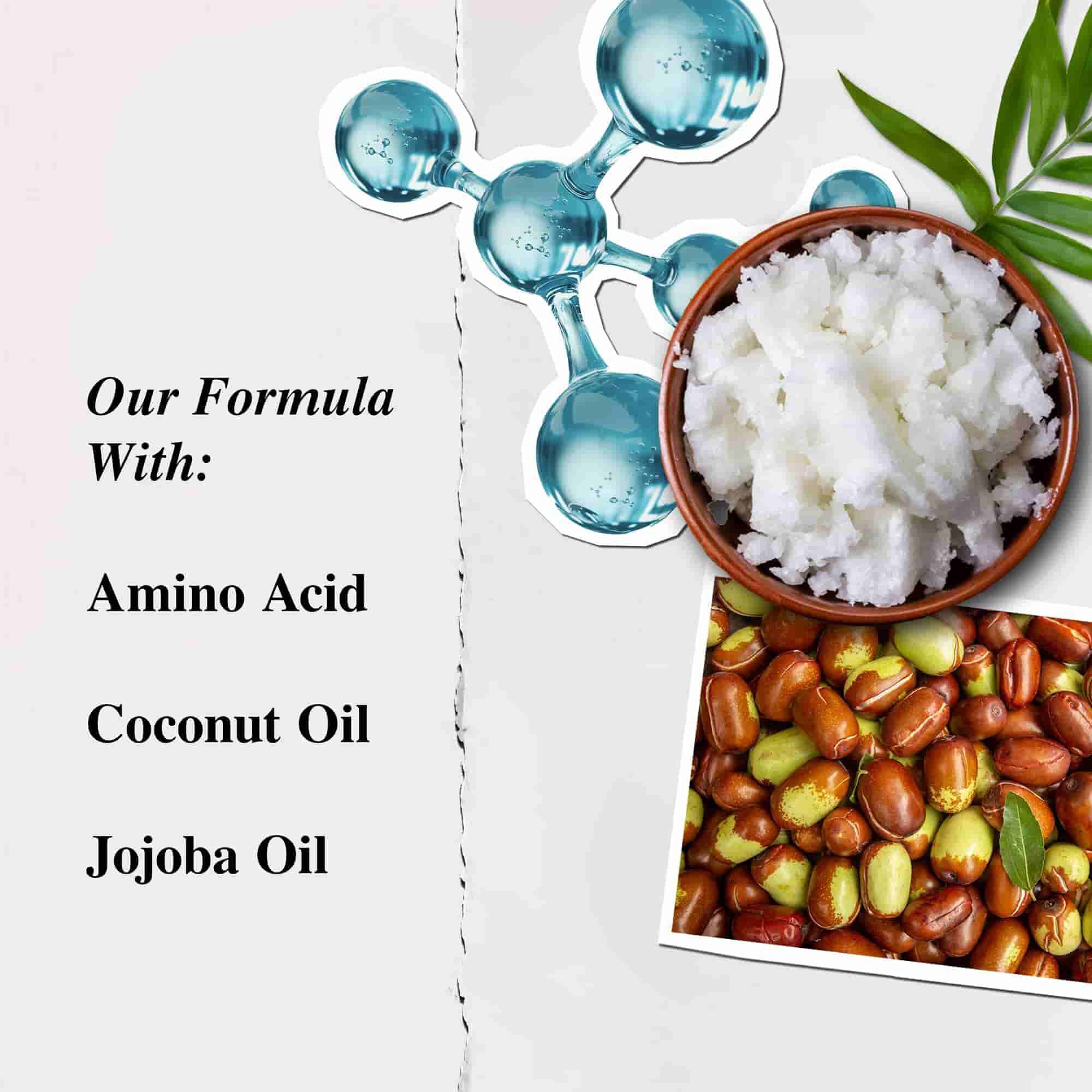 Kiehl's aminosav-kondicionalo osszetevő-illusztracio – aminosav, kokuszolaj, jojobaolaj