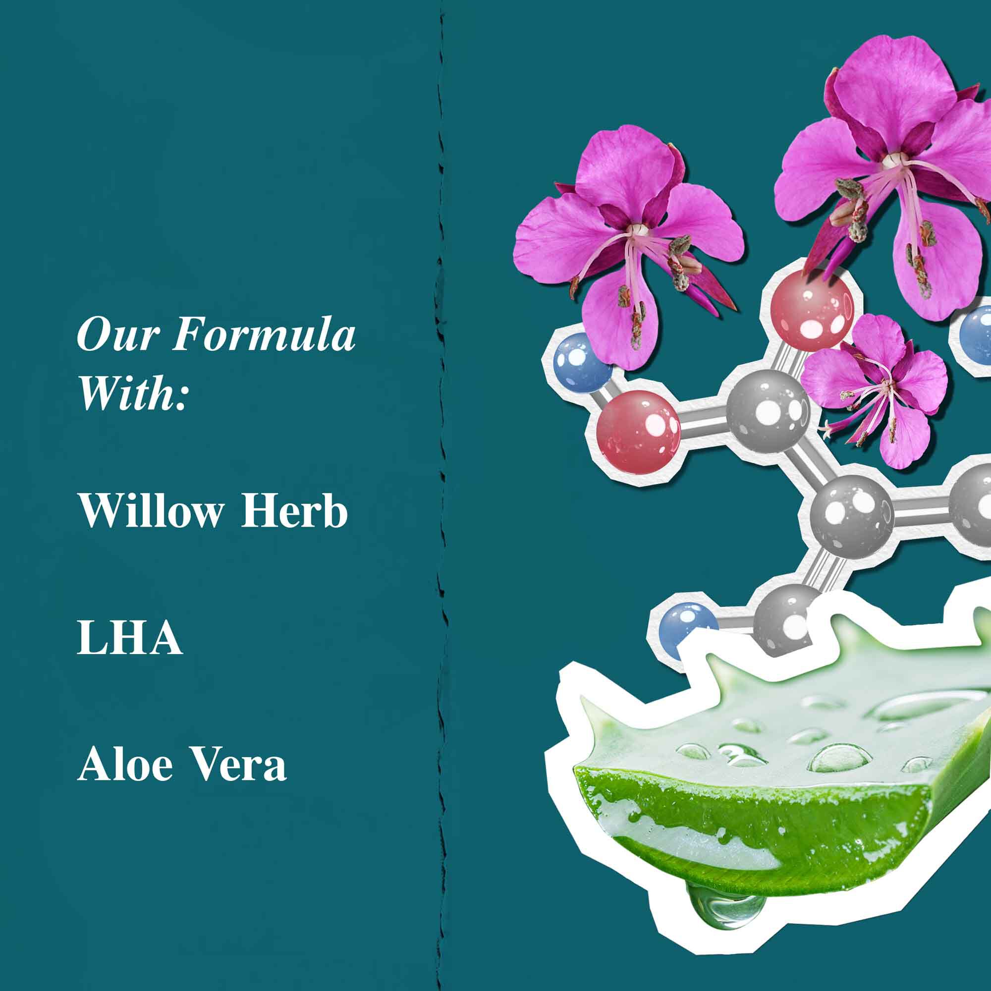 Osszetevő grafika a Close Shavers Squadron Smooth Glider Precision Shave Lotion-hoz, kiemelve a fuziket es az aloe verat.