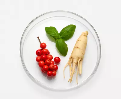 A clear glass plate containing a sprig of fresh basil, a cluster of red berries, and a piece of ginseng root, all positioned on a white background.