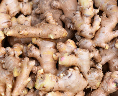 A close-up of fresh ginger roots piled together, showcasing their knobby, tan-brown skin and yellowish flesh.